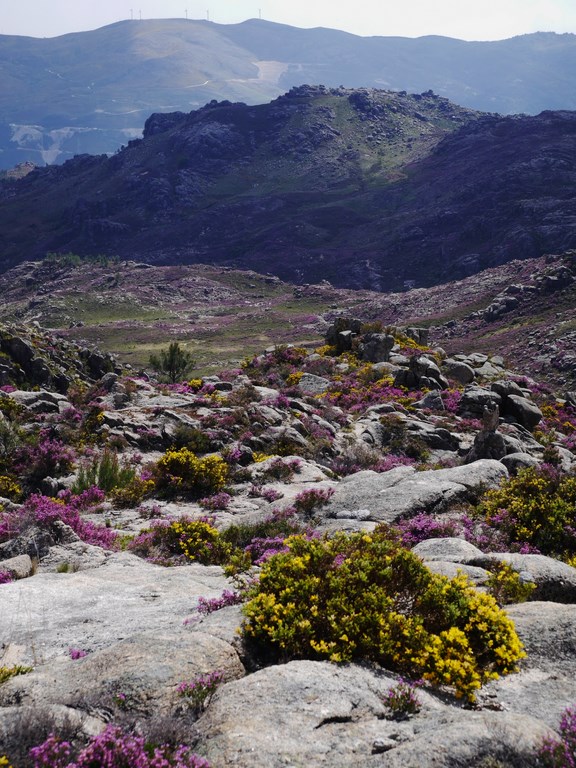 Paisagens do Gerês