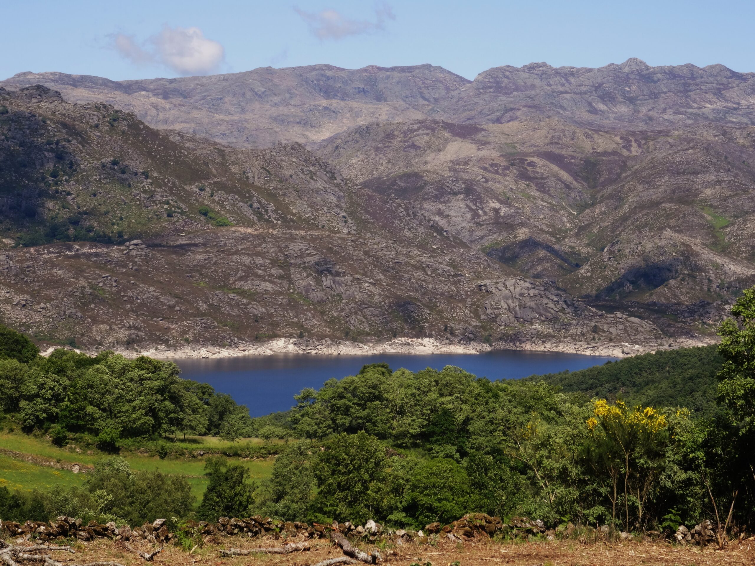 Reservar – Nomad Planet
